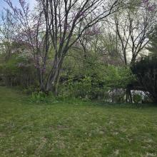 Creek View