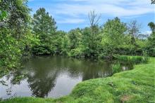 View of creek