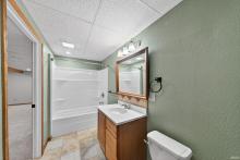 Lower Level Full Tub/Shower Bath
