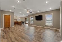 Lower Level Family Room