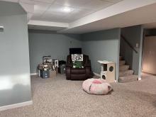 Basement FR
