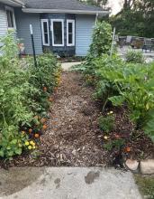 Last Summer Garden