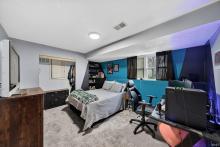 Lower Level Bedroom