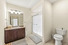 Lower Level - Bathroom