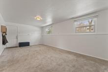 Lower level family rooom